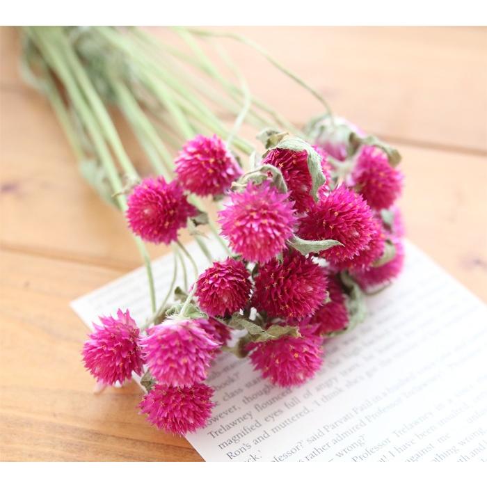 396円 Sale 80 Off 季節限定販売 Tpステム付き 千日紅 ストロベリーピンク