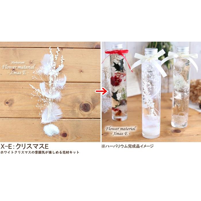 クリスマス ハーバリウム キット 花材 手作り 【5本分】【クリスマス 