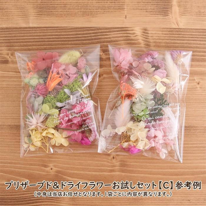 おまかせ】プリザーブド＆ドライフラワーお試しセット【C】 花材 送料
