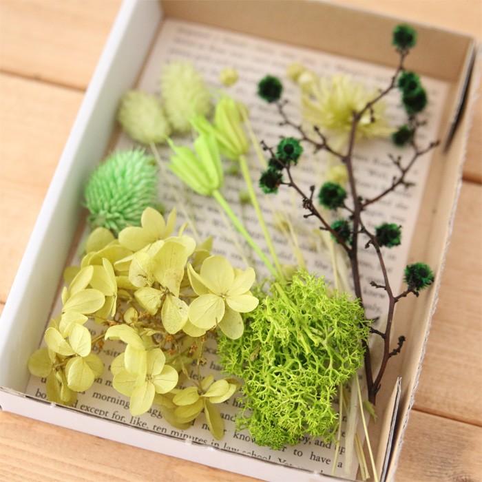 グリーン】 花材キット ドライフラワー プリザーブドフラワー 小分け