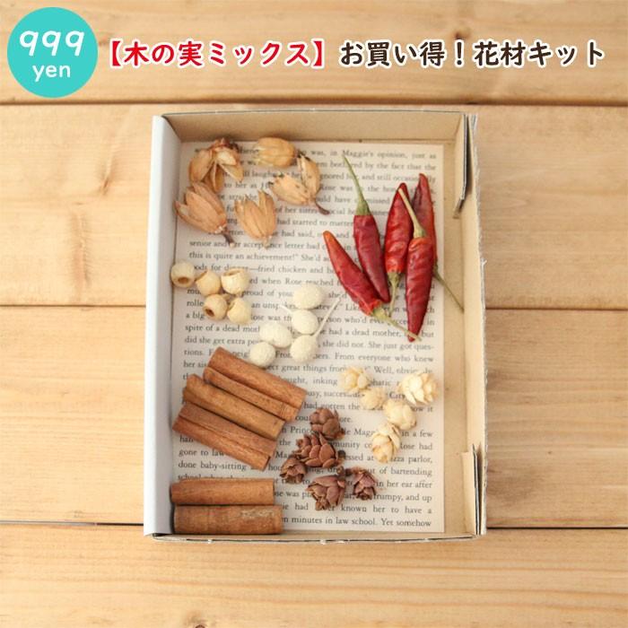 木の実ミックス】 お買い得！花材キット 【木の実 アンバーナッツ タマ 