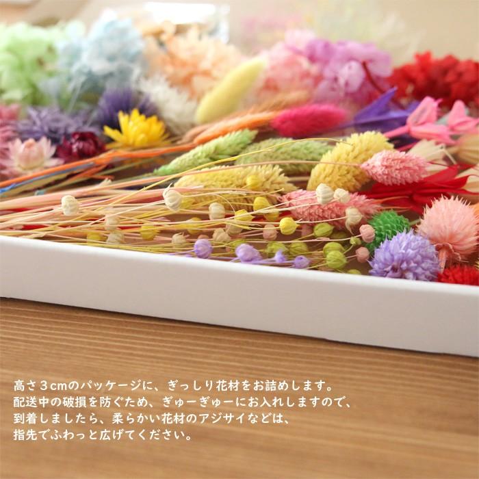 特大サイズ】 カラフル 花材セット [ ハーバリウム プリザーブド 特大サイズ】 カラフル 花材セット [ ハーバリウム プリザーブド