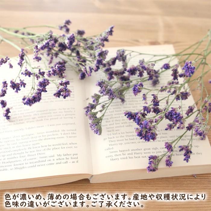 小分け】 HBスターチスミニ（パープル） 【ドライフラワー】 送料無料