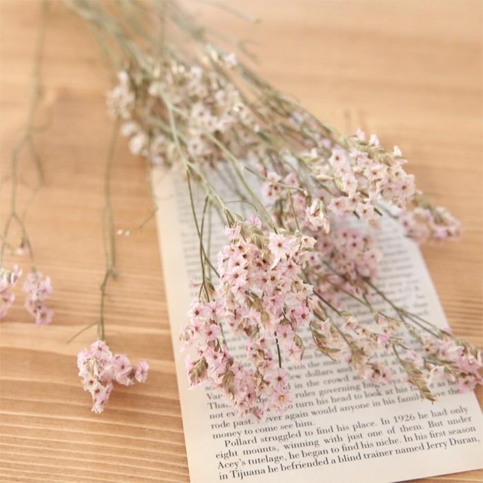 小分け 茎付き Hbスターチス 淡いピンク ドライフラワー ハーバリウム花材のお店acornstyle 通販 Yahoo ショッピング