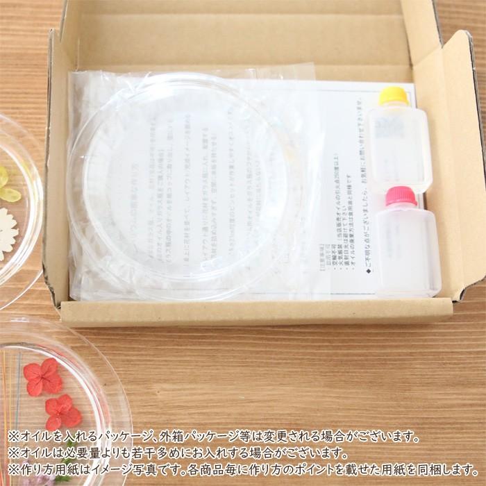 SALE/81%OFF】 固まるオイル 作り方用紙付き アクリル コースター キット サークル 2点セット wantannas.go.id SALE/81%OFF】 固まるオイル 作り方用紙付き アクリル コースター キット サークル 2点セット wantannas.go.id