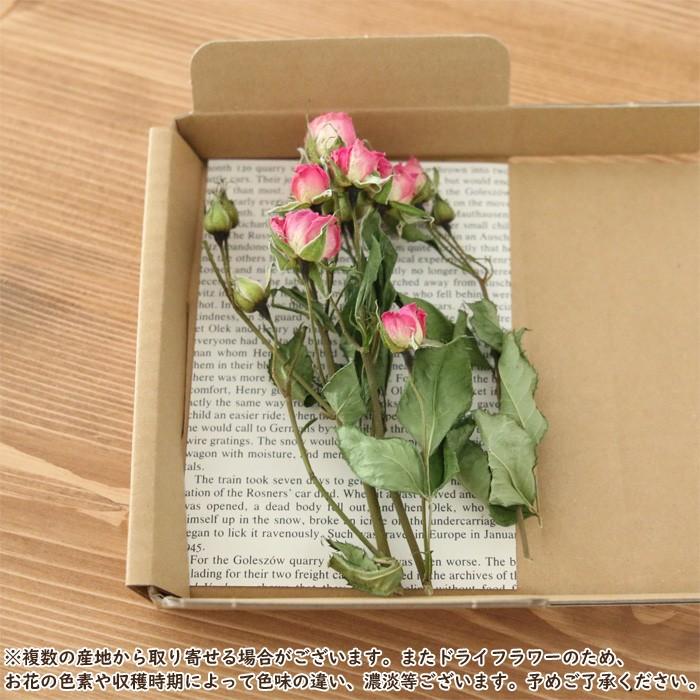 ナチュラル　ドライフラワー　リース　スプレーバラ　約20cm スプレーローズ 8輪 （ピンク系） ドライフラワー バラ 花 フラワー SP