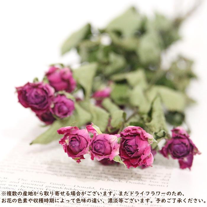 8輪 スプレーローズ （ピンク系） ドライフラワー 花 フラワー