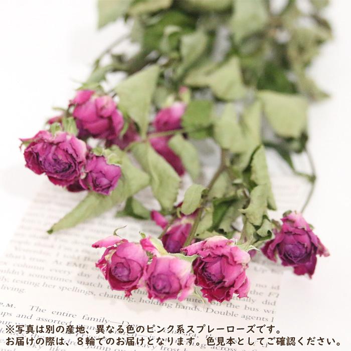 8輪 スプレーローズ （ピンク系） ドライフラワー 花 フラワー
