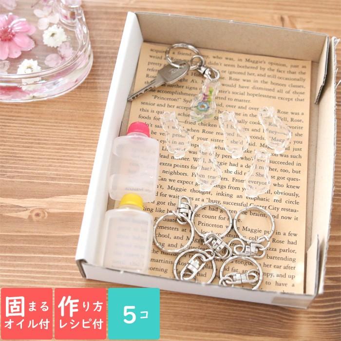 固まるオイル 作り方用紙付き アクリル キーホルダー キット 猫 5点セット ハーバリウム花材のお店acornstyle 通販 Yahoo ショッピング