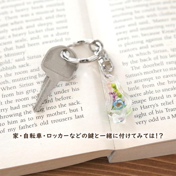 固まるオイル 作り方用紙付き アクリル キーホルダー キット 猫 5点セット ハーバリウム花材のお店acornstyle 通販 Yahoo ショッピング