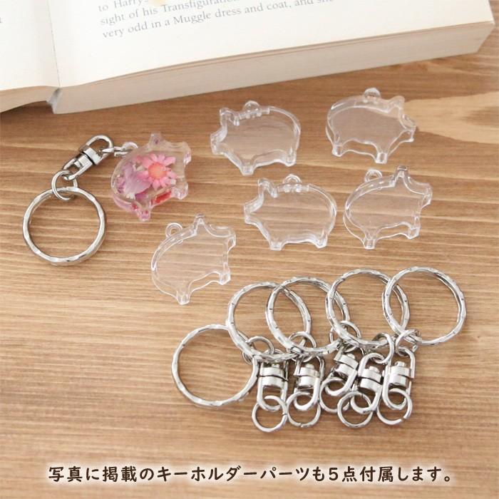 アクリル キーホルダー キット （ブタ） 【5点セット】 固まる ハー