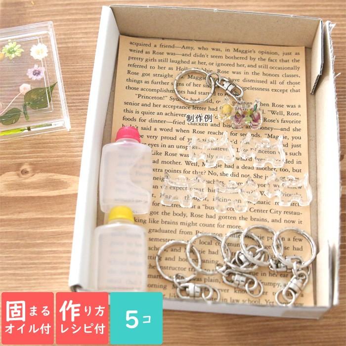 固まるオイル 作り方用紙付き アクリル キーホルダー キット 犬 5点セット ハーバリウム花材のお店acornstyle 通販 Yahoo ショッピング