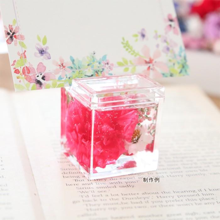 アクリル カードスタンド 本体のみ 【2点セット】 固まる ハーバリウム  