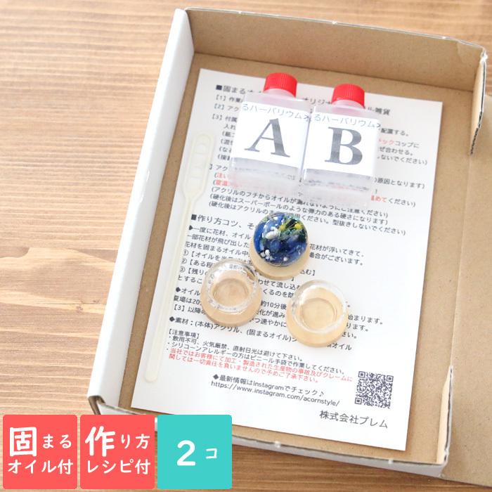 固まるオイル 作り方用紙付き 2点セット ミニ ウッド ガラスドーム S ハーバリウム キット 樹脂 制作 ハーバリウム花材のお店acornstyle 通販 Yahoo ショッピング