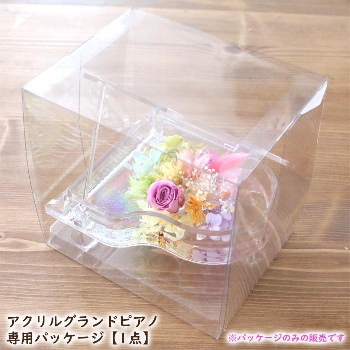 アクリル グランドピアノ専用パッケージ 1点 ラッピング 資材 クリアケース ハーバリウム花材のお店acornstyle 通販 Yahoo ショッピング