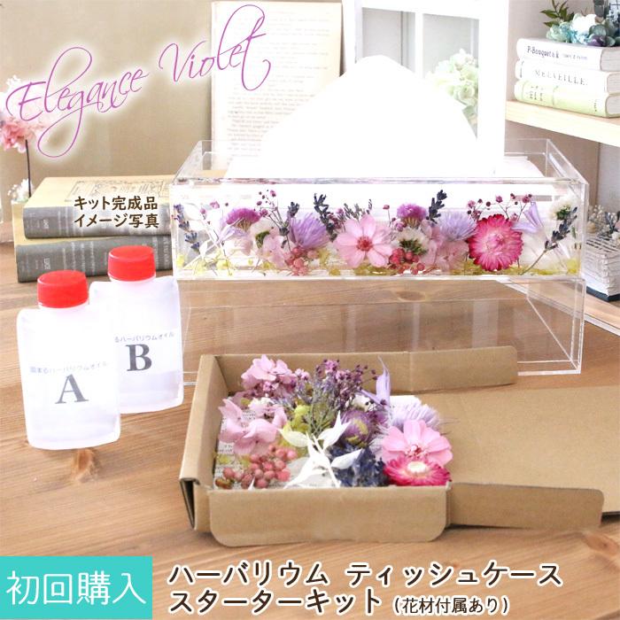 正規激安 ハーバリウム ティッシュケース スターターキット 花材付き エレガント バイオレット テキストマニュアル付 売り切れ必至 Turningheadskennel Com