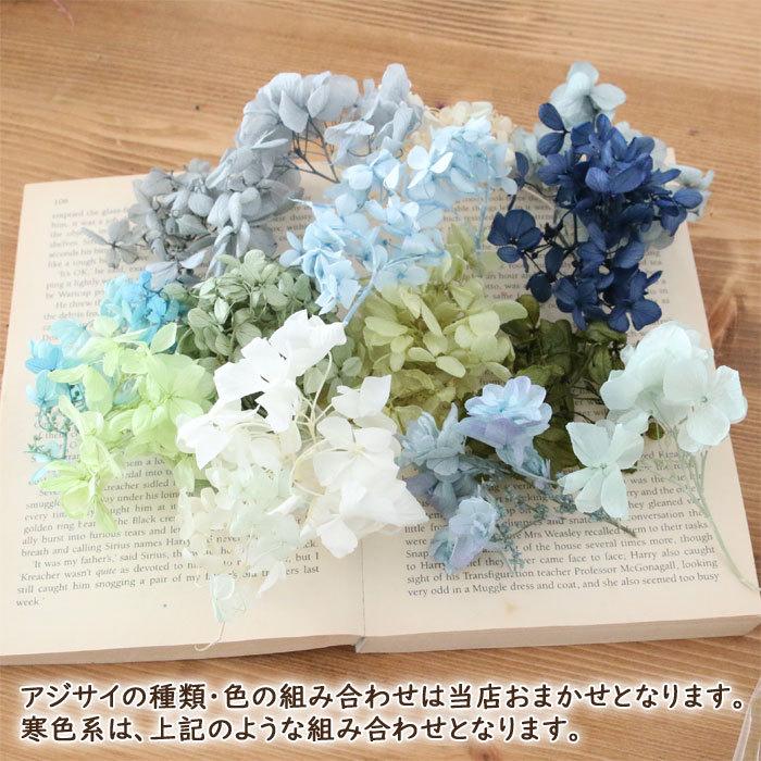 アジサイ HAPPY 福袋 [ プリザーブド フラワー あじさい 紫陽花