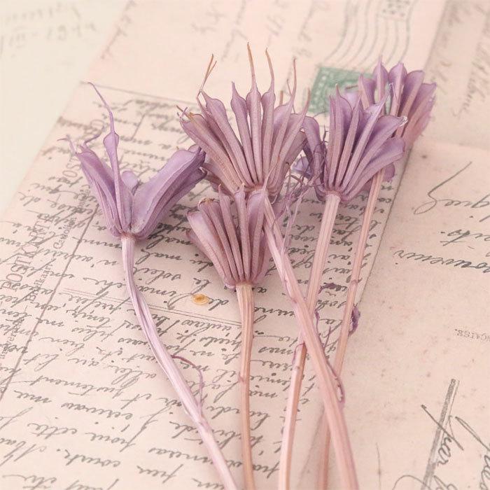 市場 即日出荷 パーツ レジン 大和フラワー 花材 レースフラワー 花 少量 ドライフラワー レッド 小分け 特価 押し花