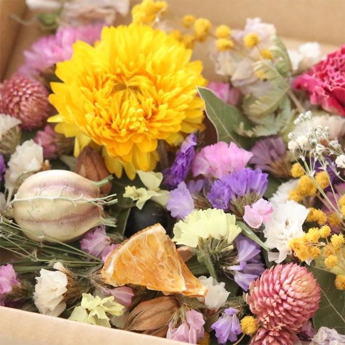 ドライフラワー 詰め合わせ 花材 セット MIX （ヘリクリサムYE） : 花