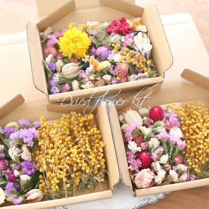 ドライフラワー 詰め合わせ 花材 セット MIX （ヘリクリサムYE） : 花