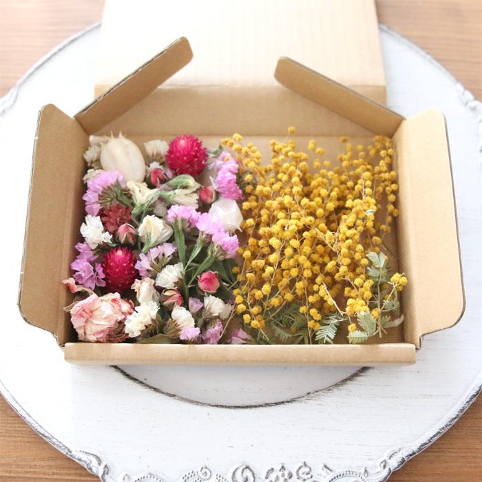 ミモザドライフラワー ドライフラワー］ミモザ（フサアカシア） - 土と風の植物園