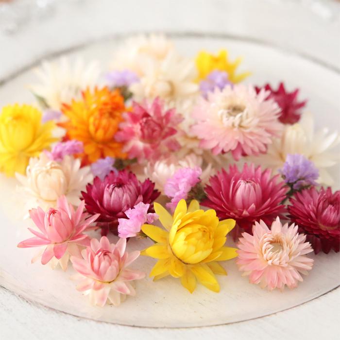 Flora　ヘリクリサムドライフラワー　モハーブ　花材　ハーバリウム ヘリクリサム ヘッド 20個 （ ミックスカラー ） ドライフラワー