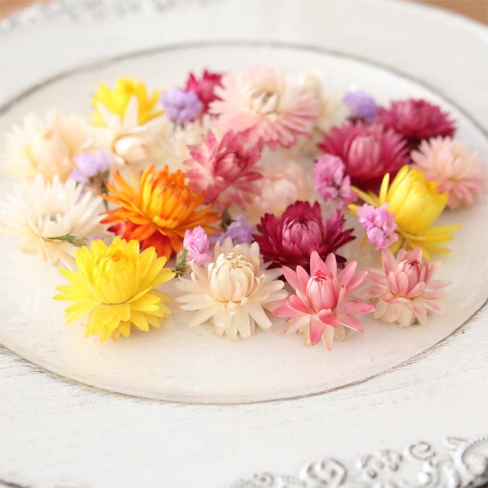 ドライフラワー 3種の花材セット 貝細工など ドライフラワー 3種の花材セット 貝細工など