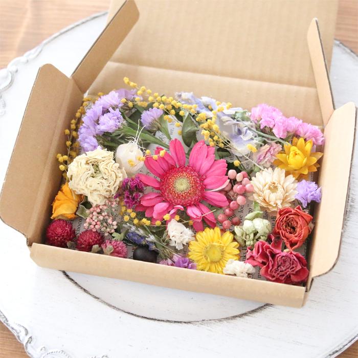 ドライフラワーガーベラ／ヘアゴム 約3.5cm ドライフラワー 詰め合わせ 花材 セット MIX （ガーベラ） 送料無料