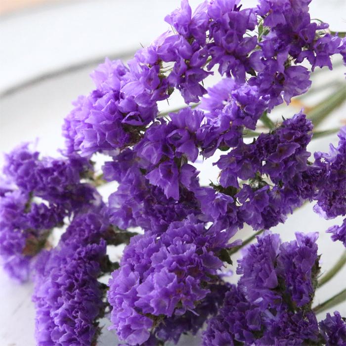 スターチス 濃いパープル 20本セット 【ドライフラワー】 送料無料