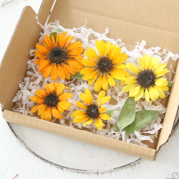 ドライフラワーꕤ︎︎ひまわりとバラと小花いっぱいスワッグꕤ︎︎花束2点セット ひまわり ドライフラワー スワッグ 花束 夏 - Macaron bouquet