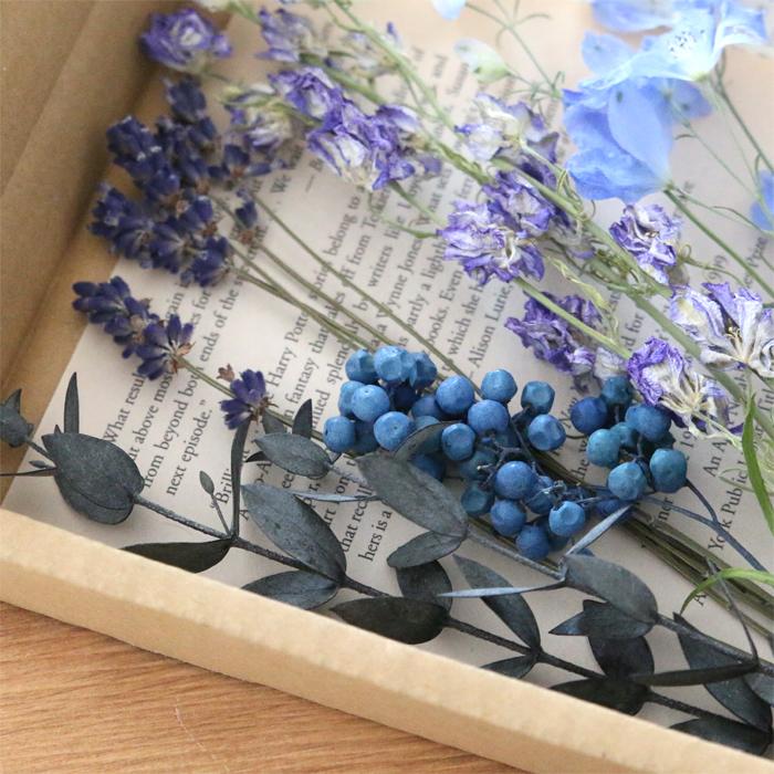 ブルー系】 ドライフラワー 花材 詰め合わせ セット （ユーカリ