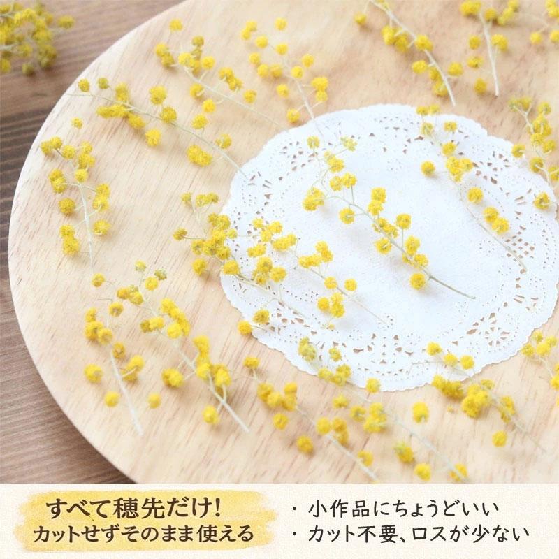ハンドメイド　花材　ドライフラワー　マトリカリア　暖色系　20輪+α ハンドメイド 花材 ドライフラワー マトリカリア 暖色系 20輪+α 【公式
