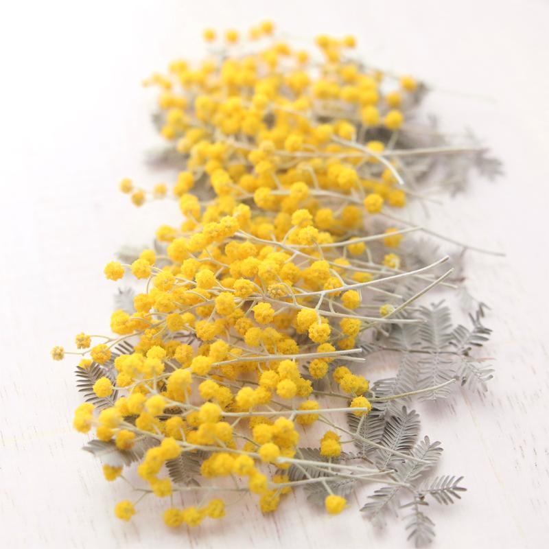 ドライフラワー★ポンポンミモザ　エリンジューム　ナンキンハゼ ドライフラワー☆ポンポンミモザ エリンジューム ナンキンハゼ
