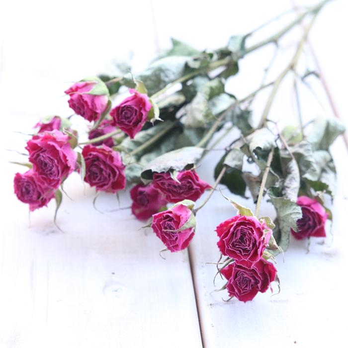 スプレーバラ ピンク系 【長さ約30cm・枝3本】 ドライフラワー