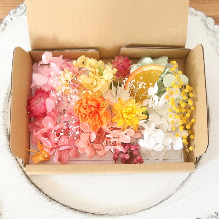 アーリー・イヤーズ・ボックス　カーネーション　CARNATION Early Years Box : カーネーション | HMV&BOOKS online - PCD
