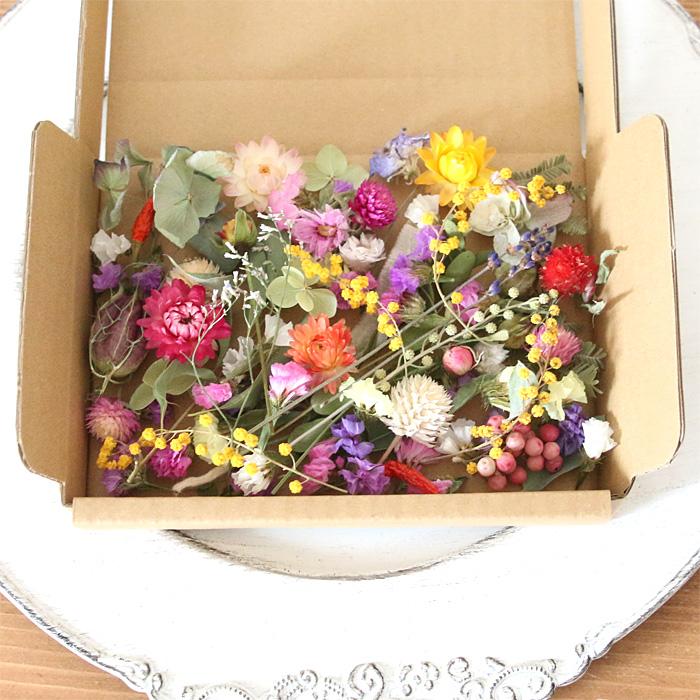 ドライフラワー花材セット。:°ஐ..♡*ヘリクリサム♡♡ 【公式通販】
