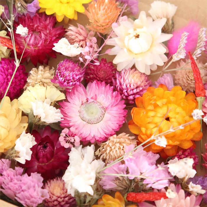 暖色系 ドライフラワー 花材セット 詰め合わせ 【A6】 ヘリクリサム 貝