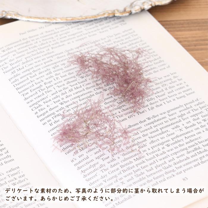 スモークツリー 1本 | ドライフラワー 花材 ロング 国産 送料無料
