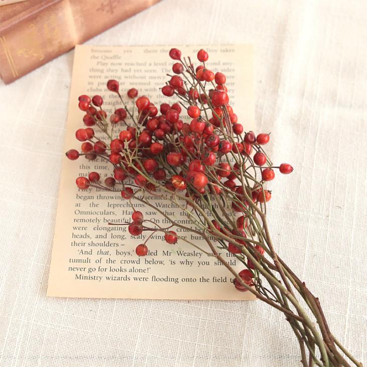 バラの実 ドライフラワー 8本 花材 国産 野ばらの実 小分け 材料 素材