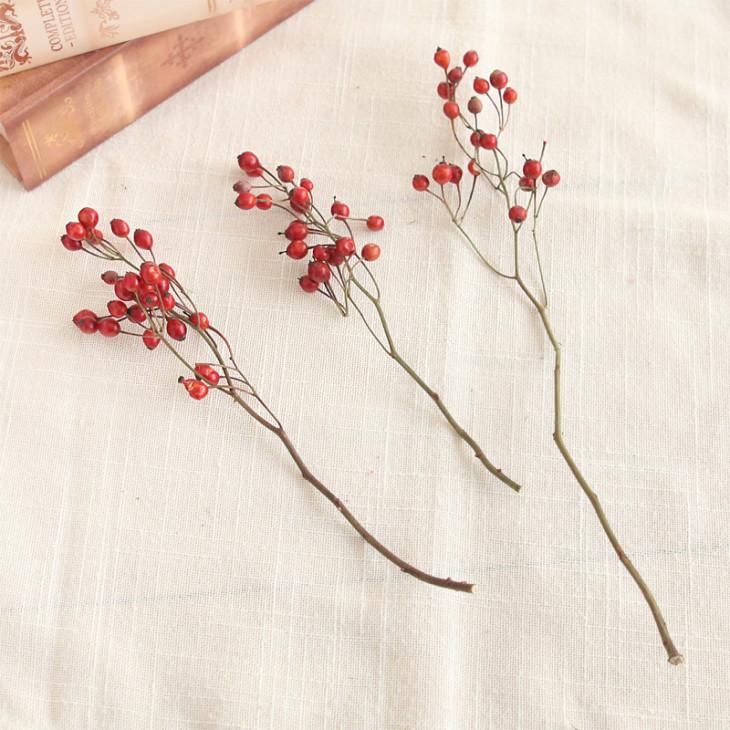 バラの実 ドライフラワー 8本 花材 国産 野ばらの実 小分け 材料 素材