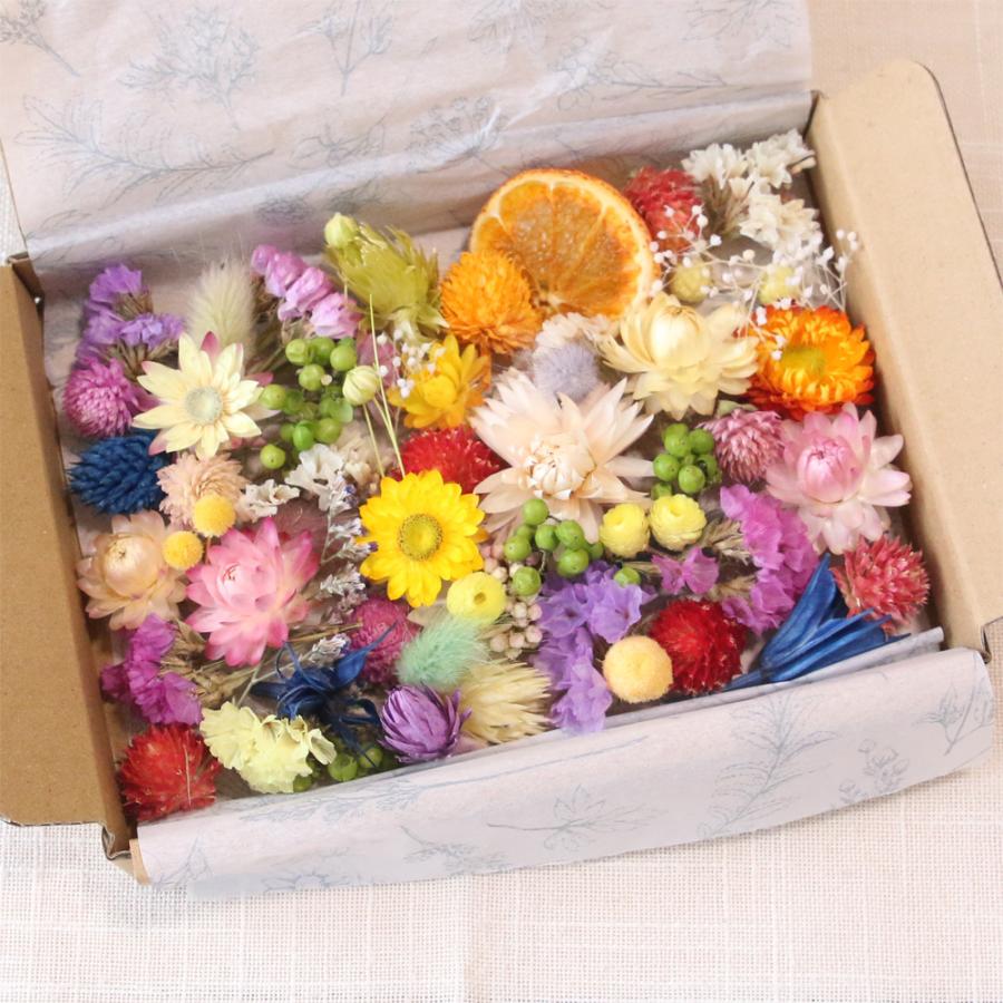 ドライフラワー 花材詰め合わせ ドライフラワー 花材 セット 詰め合わせ （カラフルMIX） | かわいい