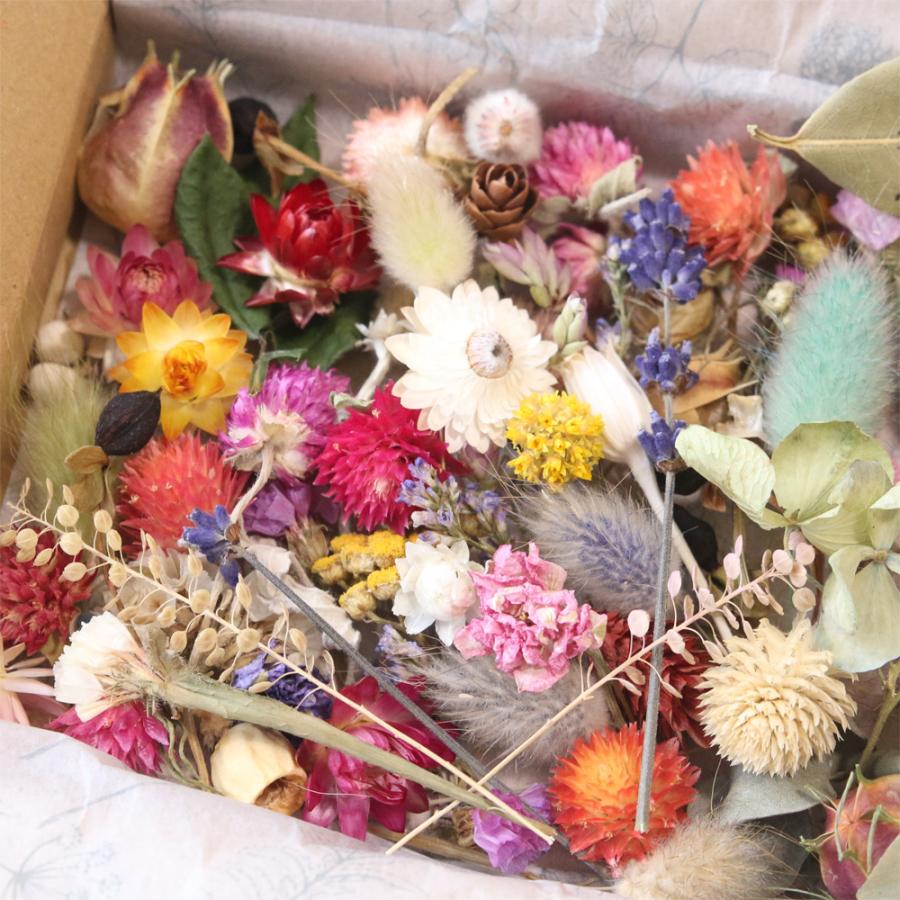 ドライフラワー 花材 セット 詰め合わせ （ナチュラルMIX