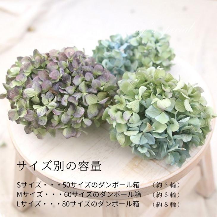 ドライフラワー 紫陽花 ヘッド | 花材 あじさい アジサイ 国産