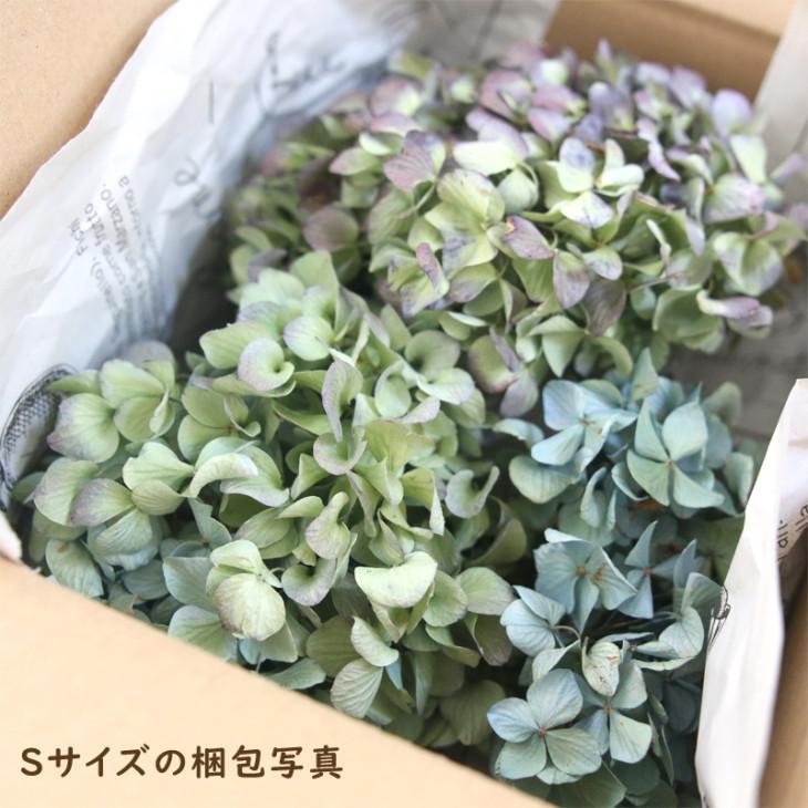 ドライフラワー 紫陽花 ヘッド | 花材 あじさい アジサイ 国産