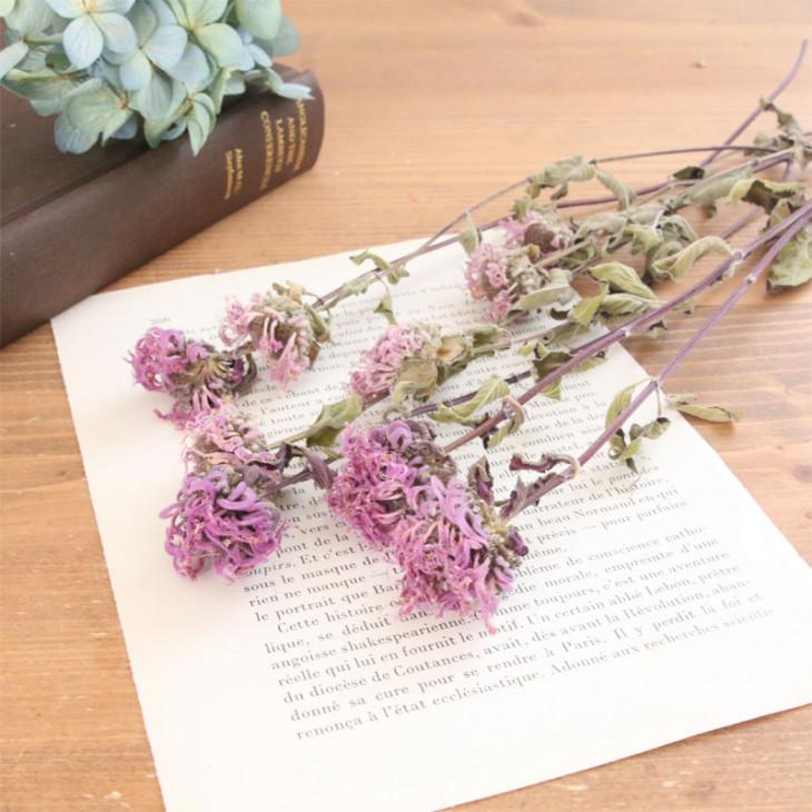 ベルガモット ドライフラワー 4〜5本 花材 セット | 国産 紫 パープル