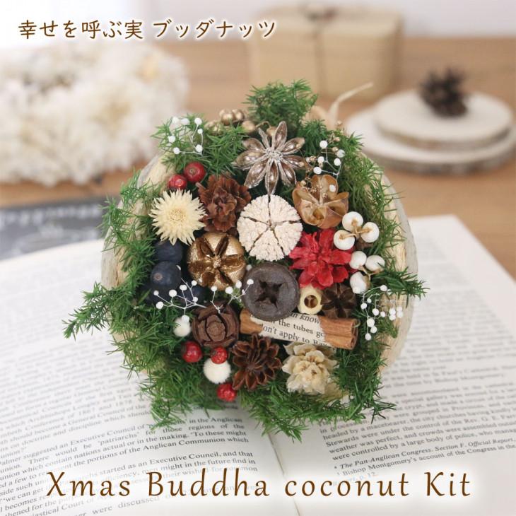 手作りキット】 ブッダナッツ クリスマスデザイン｜かわいい