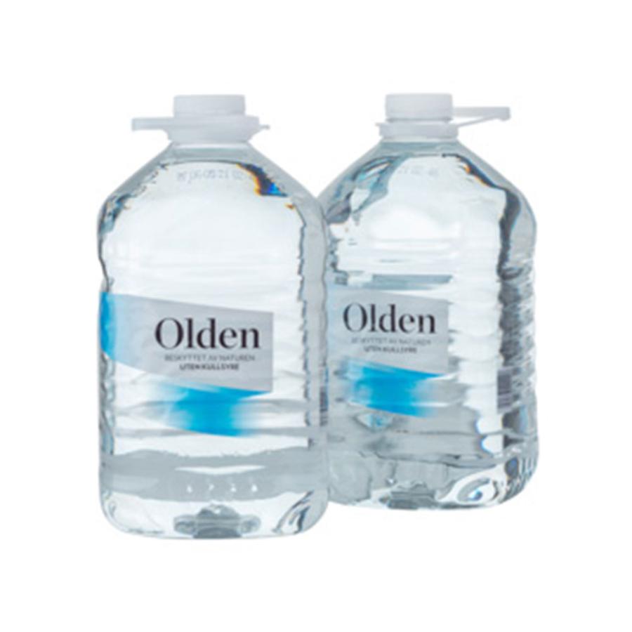 ミネラルウォーター 北欧ノルウェーの天然水オルデン 5000ml×4本 Olden
