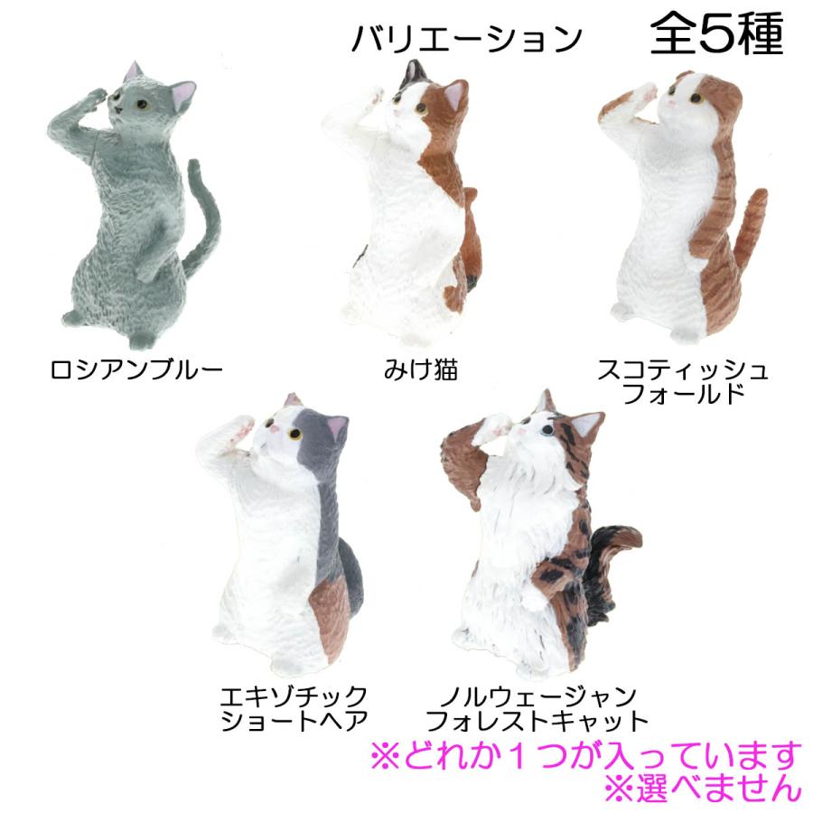 フィギュア ふちやすみにゃんこ 敬礼猫 1個入1箱 エール マスコット かわいい 動物 猫 癒やし グッズ 置物 飾り｜acoselect｜12