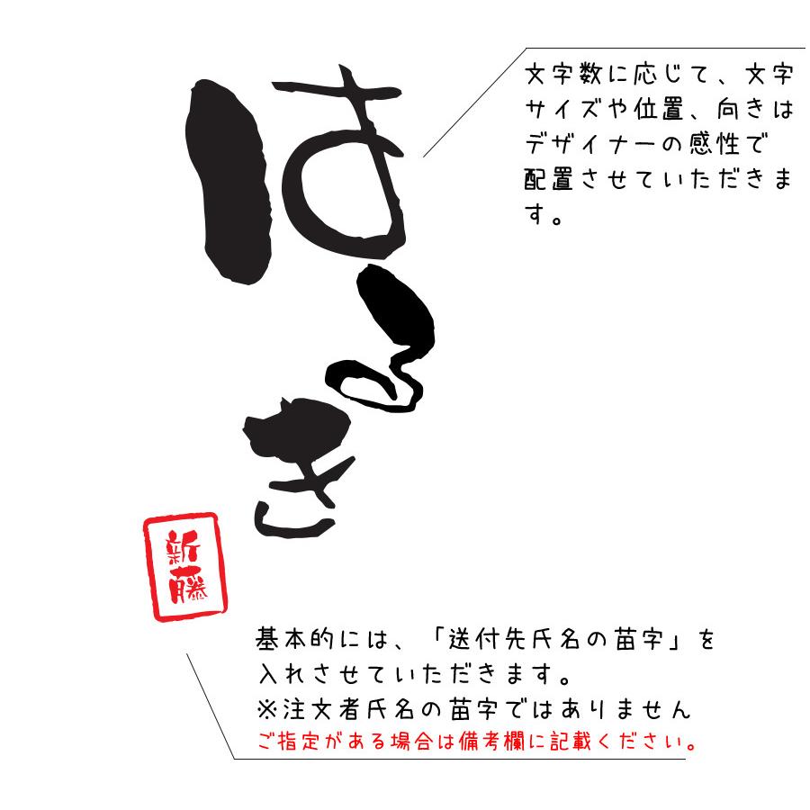 新しいコレクション 名入れtシャツ選べる和風のフォントで名入れオリジナル長袖お名前ｔシャツ キッズ服 子供服 メンズ レディース Avmap Gr