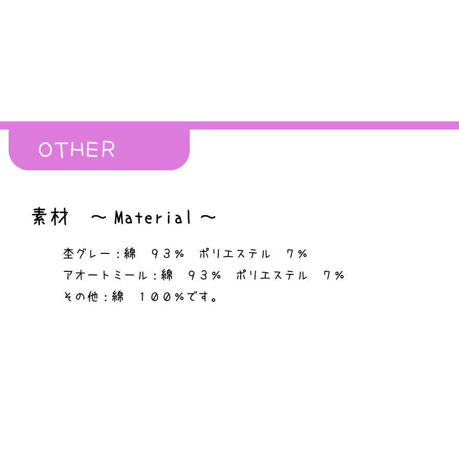 フラッグ柄でシンプルに名入れトレーナー/スウェット 子供服 メンズ レディース |  | 08
